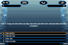 trangwaphay.net